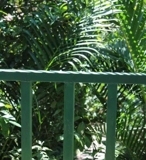 Standard-huone Jaettu Kylpyhuone, Cabinas Tortuguero
