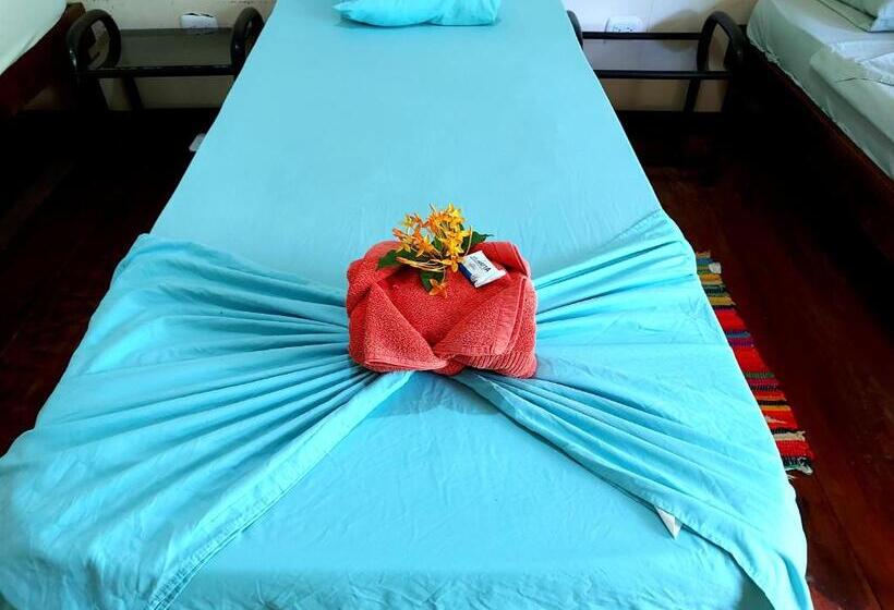 Номер Стандарт, Cabinas Tortuguero