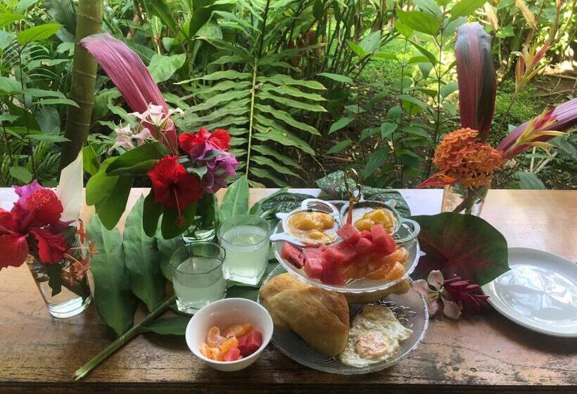Номер Стандарт, Cabinas Tortuguero