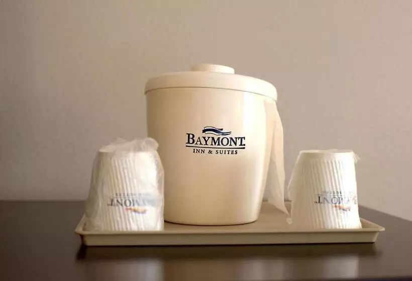 キングサイズベッドのデラックススイート, Baymont By Wyndham Cambridge