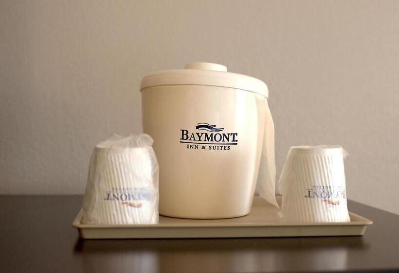 스탠다드 룸 킹사이즈 침대, Baymont By Wyndham Cambridge