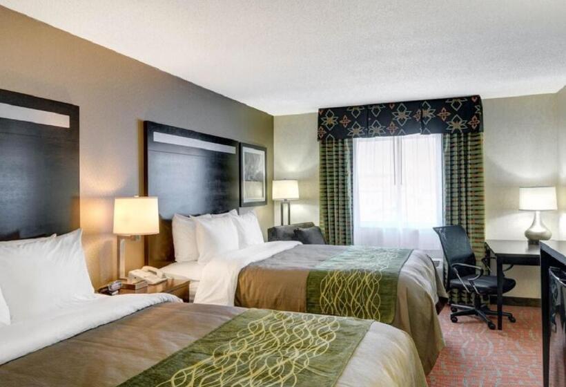 Номер Стандарт, Comfort Inn