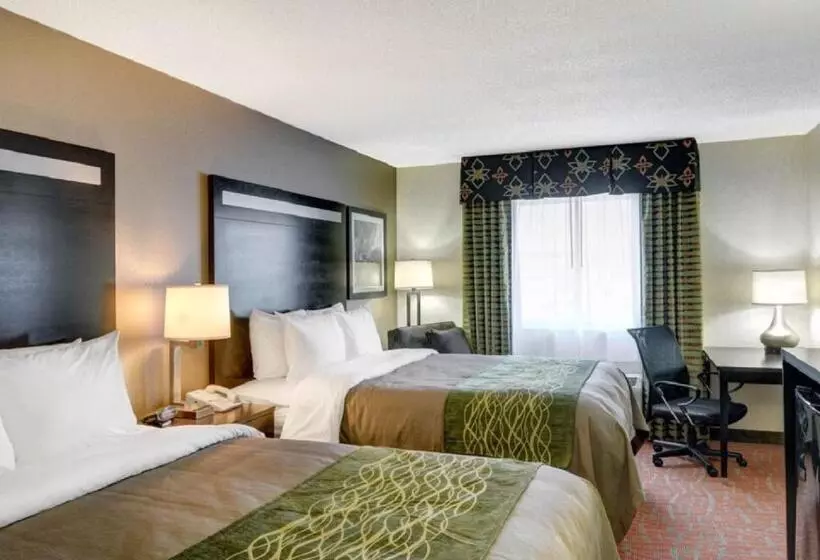 スタンダードルーム, Comfort Inn Painesville Concord