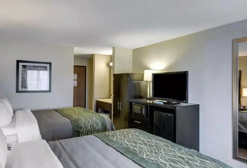 スタンダードルーム, Comfort Inn Painesville Concord