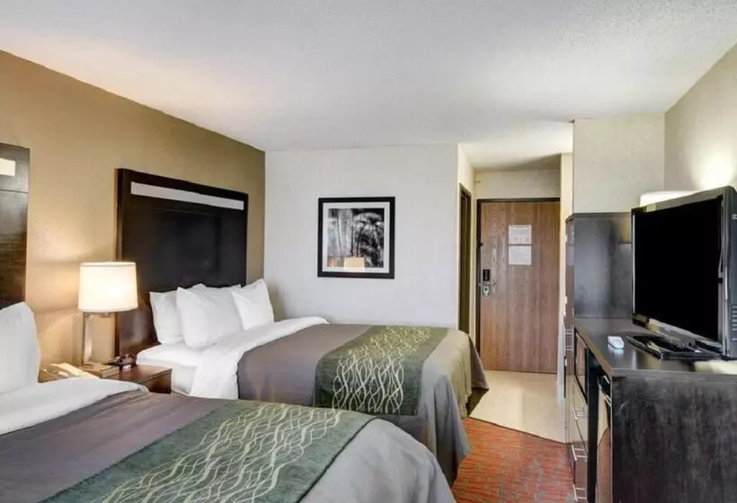 スタンダードルーム, Comfort Inn Painesville Concord