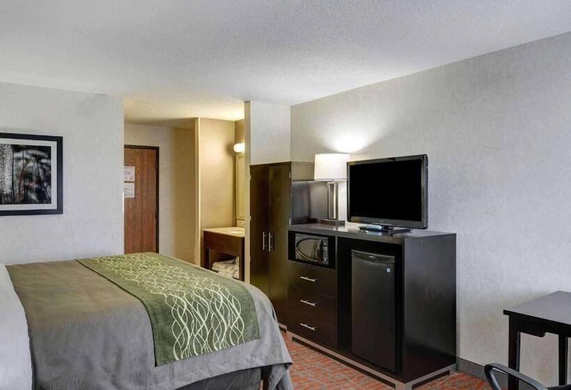 Стандартный Номер Кровать Кинг, Comfort Inn
