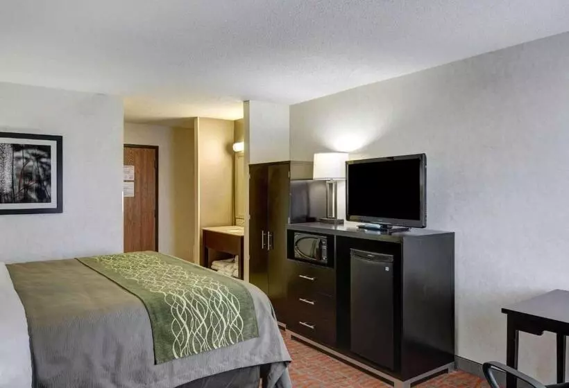 キングサイズベッドのスタンダードルーム, Comfort Inn Painesville Concord