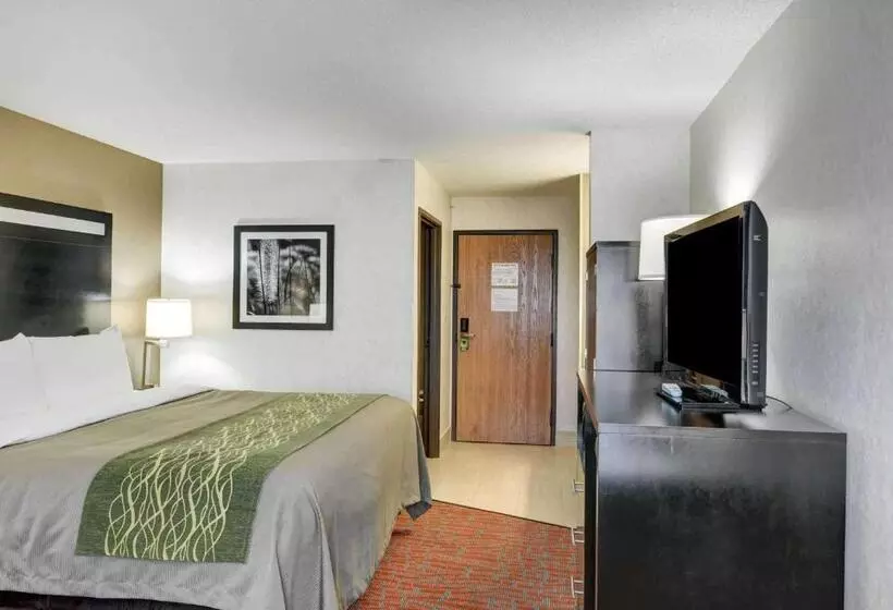 キングサイズベッドのスタンダードルーム, Comfort Inn Painesville Concord