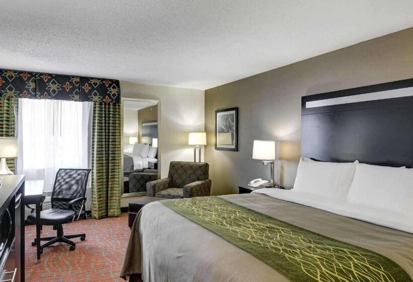 غرفة قياسية سرير كينج, Comfort Inn