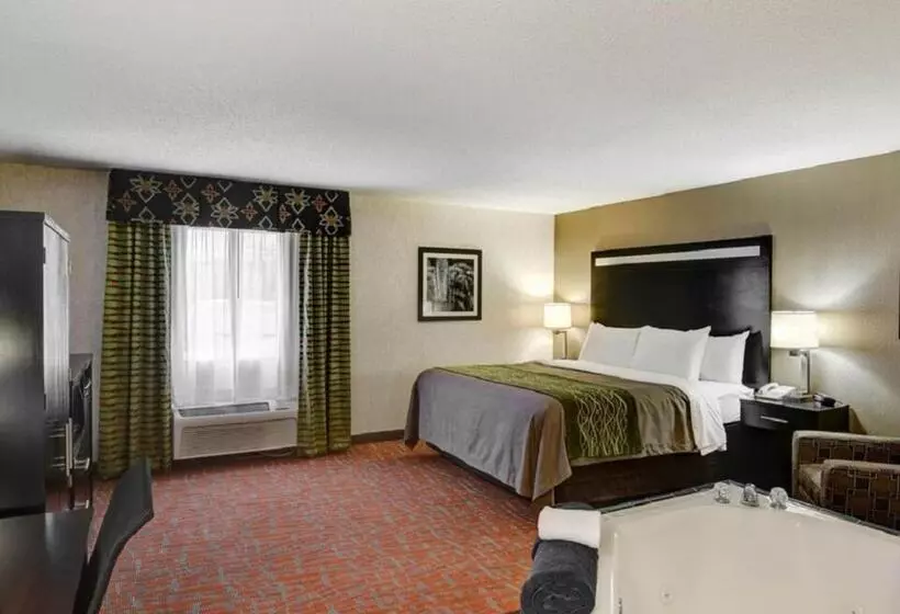 キングサイズベッドのスタンダードルーム, Comfort Inn Painesville Concord