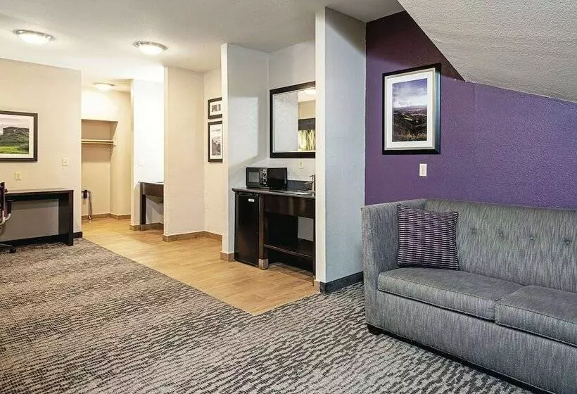 اتاق لوکس, La Quinta Inn By Wyndham Livermore