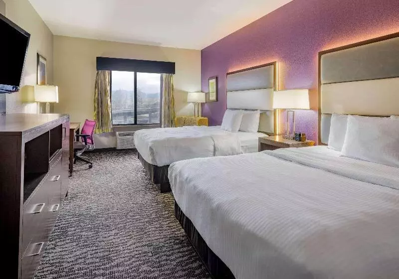 デラックススイート, La Quinta By Wyndham Nw Tucson Marana
