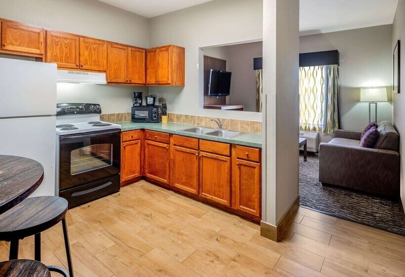 デラックススイート, La Quinta By Wyndham Nw Tucson Marana