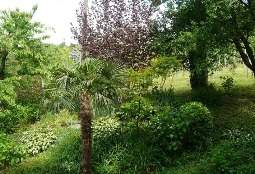 חדר סטנדרט, Osteria Garni Americana