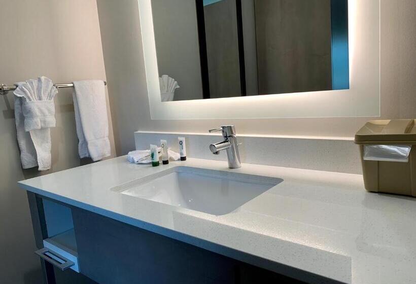 غرفة ديلوكس سرير كينج, Pacific Motor Inn