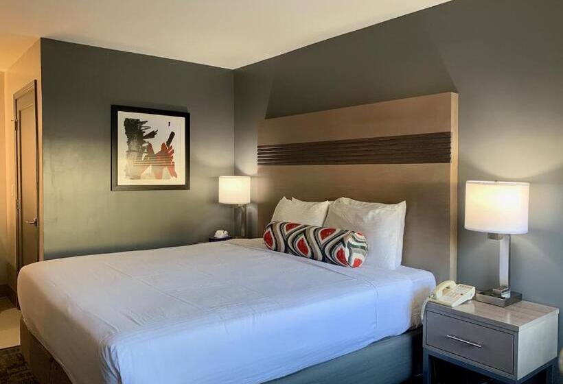 חדר סטנדרט עם מיטת קינג, Pacific Motor Inn