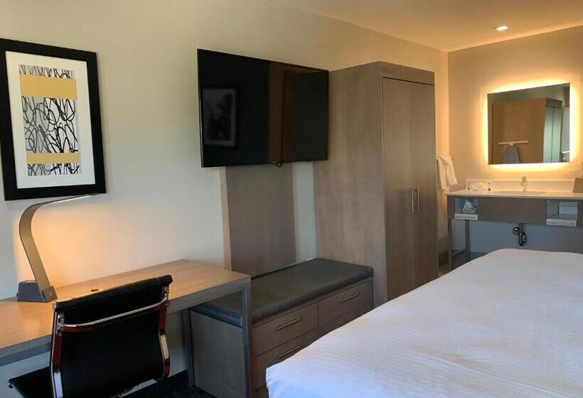 غرفة قياسية سرير كينج, Pacific Motor Inn