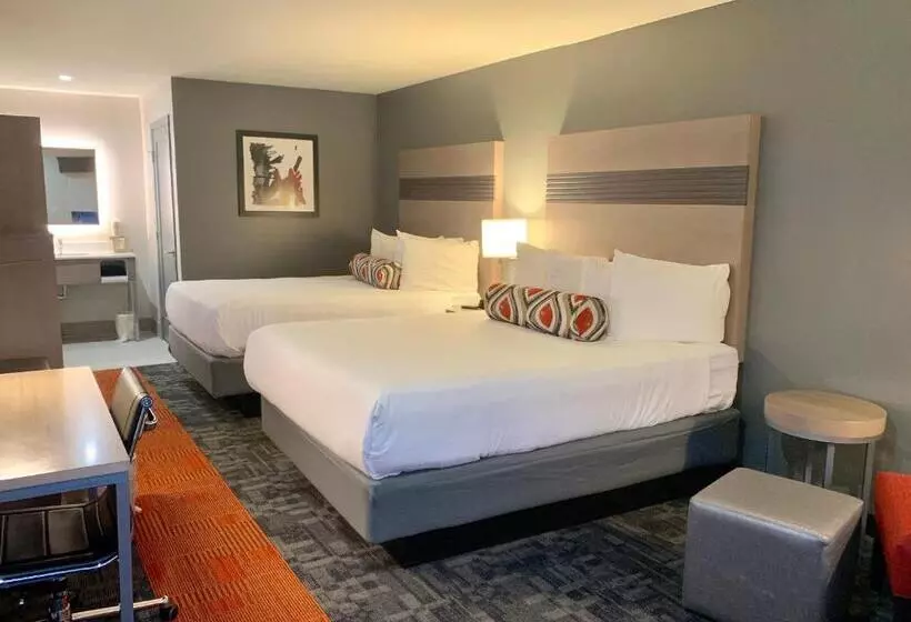 اتاق استاندارد, Pacific Motor Inn