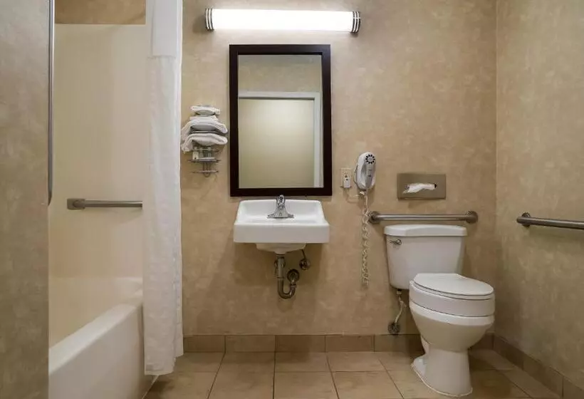 身障者適用スタンダードルーム, Quality Inn Grand Blanc   Flint South