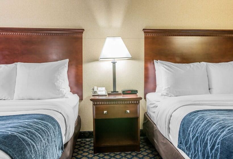 Номер Стандарт 2 Двуспальные Кровати, Quality Inn Grand Blanc   Flint South