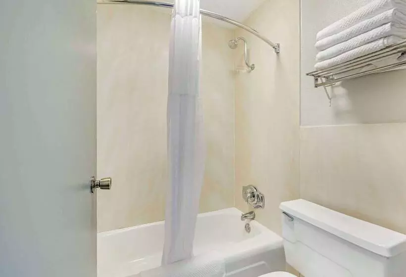 スイート, Quality Inn & Suites