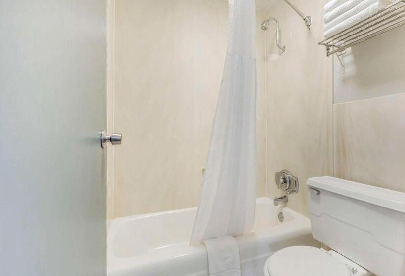 חדר סטנדרט, Quality Inn & Suites