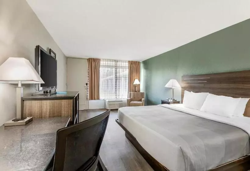キングサイズベッドのスタンダードルーム, Quality Inn & Suites