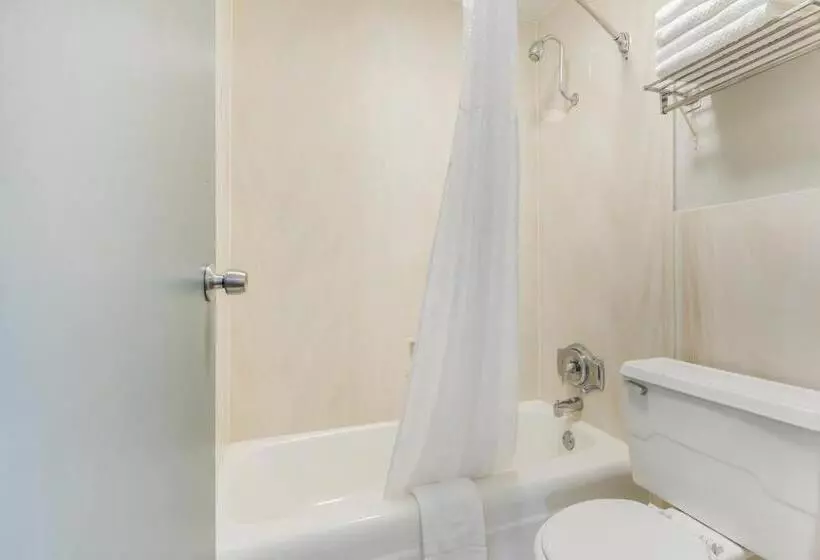 キングサイズベッドのスタンダードルーム, Quality Inn & Suites