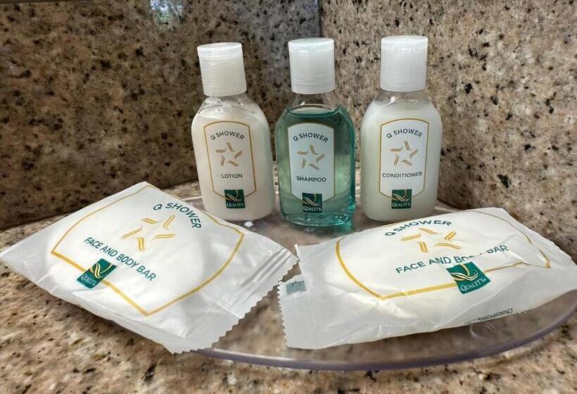 חדר סטנדרט עם מיטת קינג, Quality Inn & Suites