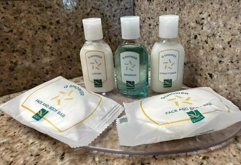キングサイズベッドのスタンダードルーム, Quality Inn & Suites