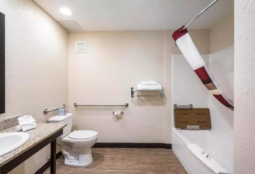 身障者適用キングサイズベッドルーム, Red Roof Inn Ocala