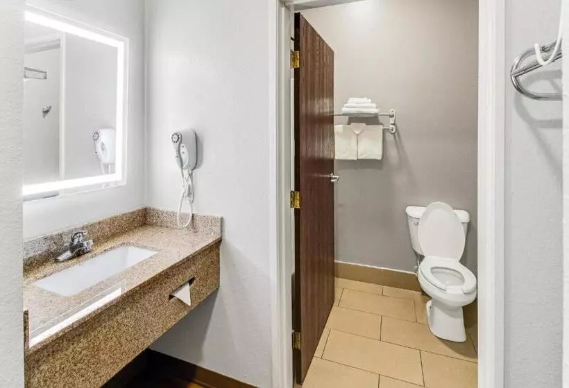 キングサイズベッドのスーペリアルーム, Red Roof Inn Springfield, Oh