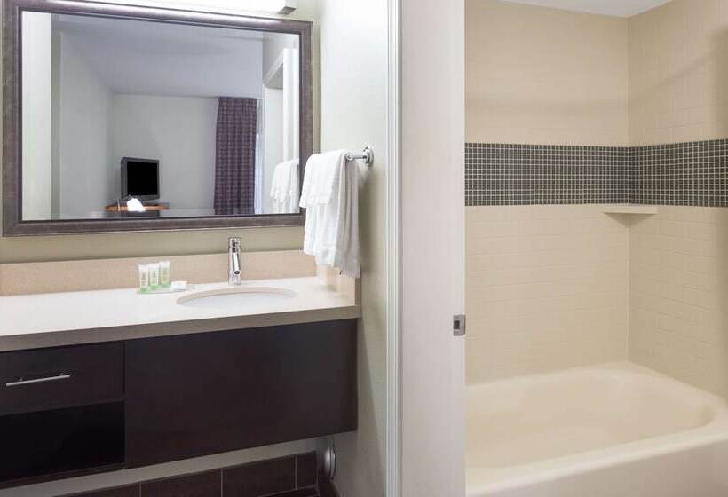 סוויטת 2 חדרי שינה, Sonesta Es Suites Atlanta  Perimeter Center