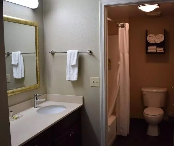 スイート, Staybridge Suites Cranbury   South Brunswick, An Ihg