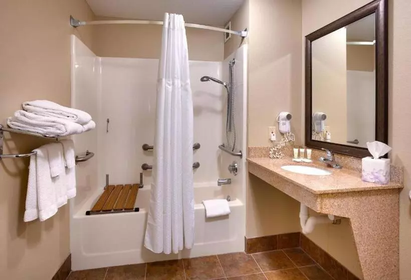اتاق استاندارد با تخت بزرگ برای معلولان, Staybridge Suites Peoria Downtown, An Ihg