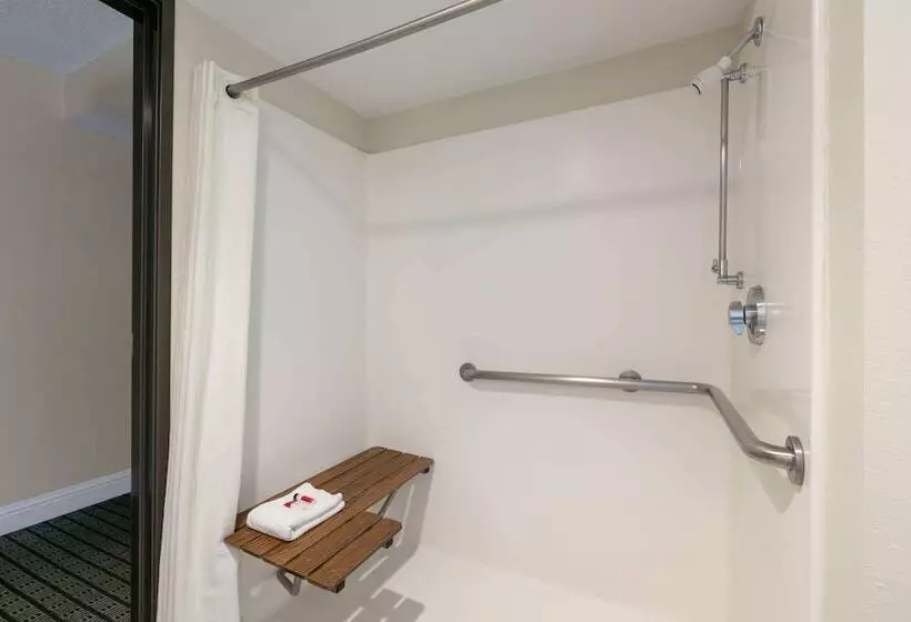 身障者適用スイートルーム, Microtel Inn & Suites By Wyndham Arlington/dallas Area
