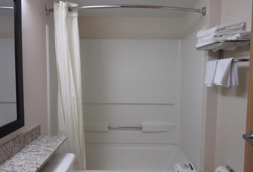 غرفة قياسية, Microtel Inn & Suites By Wyndham Arlington/dallas Area