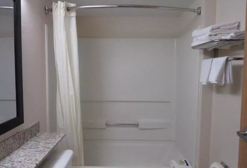 スタンダードルーム, Microtel Inn & Suites By Wyndham Arlington/dallas Area