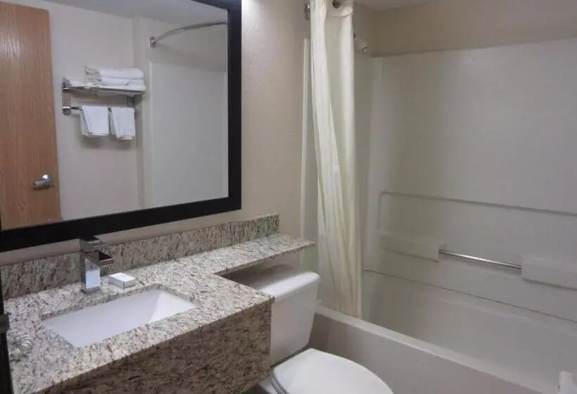 スタンダードルーム, Microtel Inn & Suites By Wyndham Arlington/dallas Area