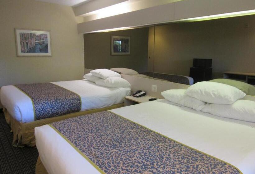 标准间, Microtel Inn & Suites By Wyndham Arlington/dallas Area