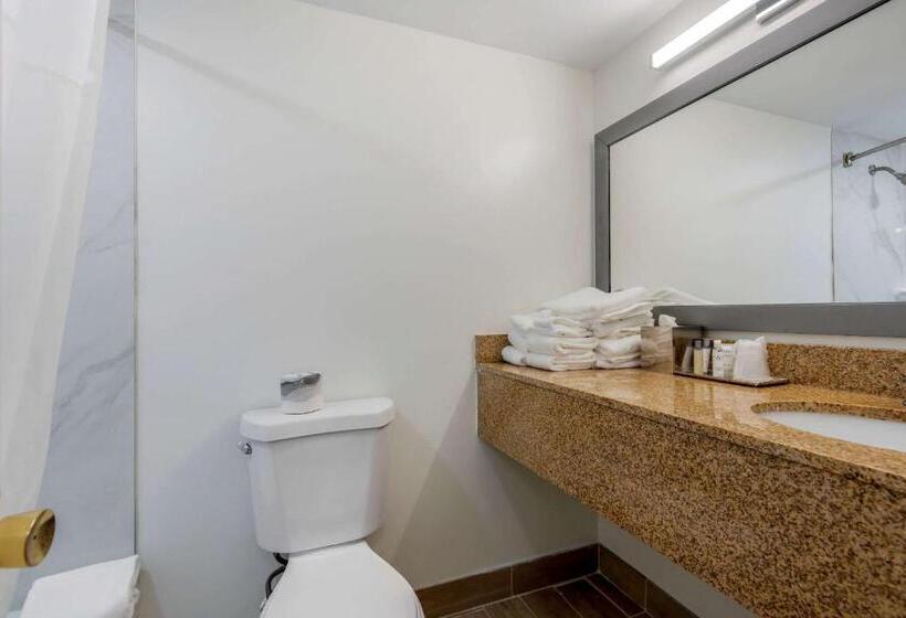 غرفة قياسية سرير كينج, Seasider Motel