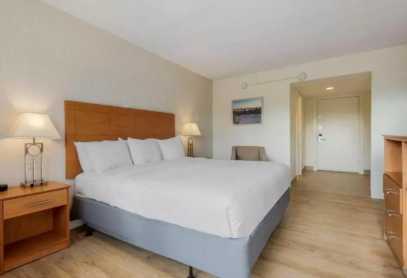 اتاق استاندارد با تخت بزرگ, Seasider Motel