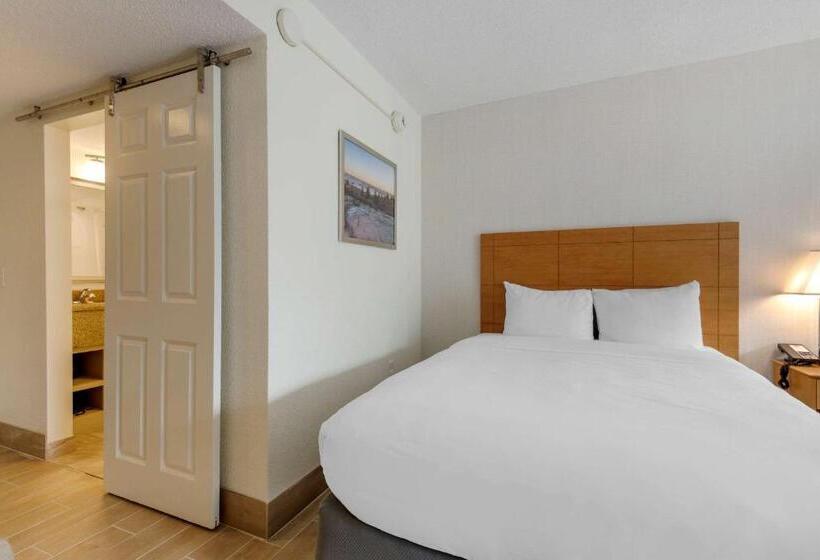 غرفة قياسية سرير ملكى, Seasider Motel