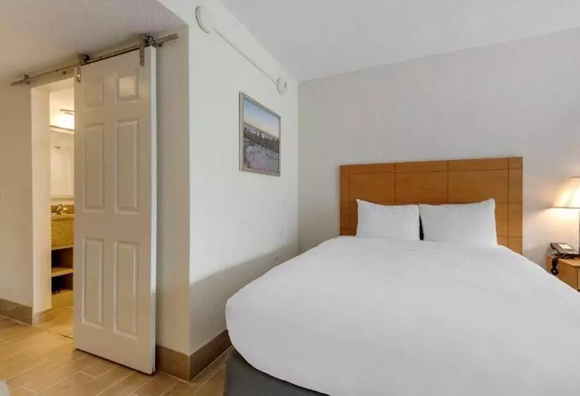 اتاق استاندارد با تخت دو نفره بزرگ, Seasider Motel