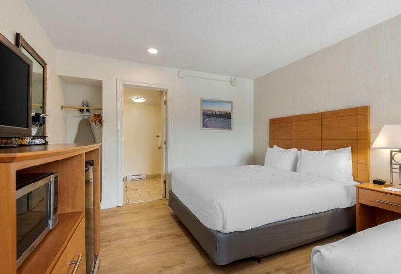 غرفة قياسية سرير ملكى, Seasider Motel