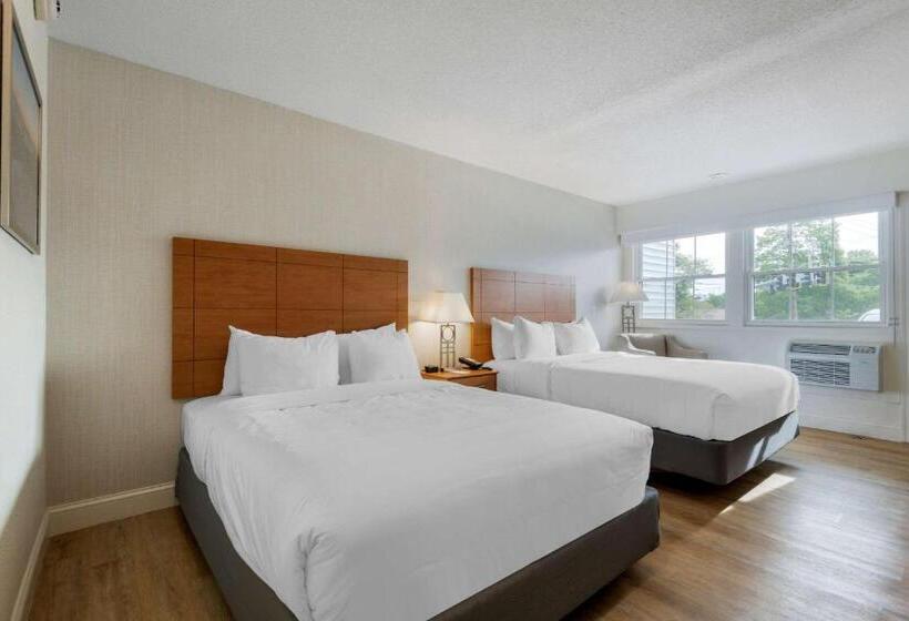 غرفة قياسية سرير ملكى, Seasider Motel