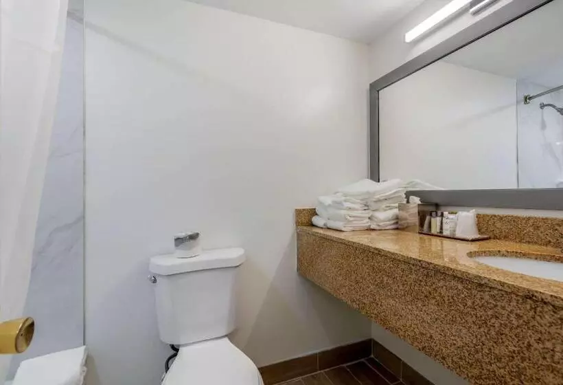 اتاق استاندارد با تخت بزرگ برای معلولان, Seasider Motel