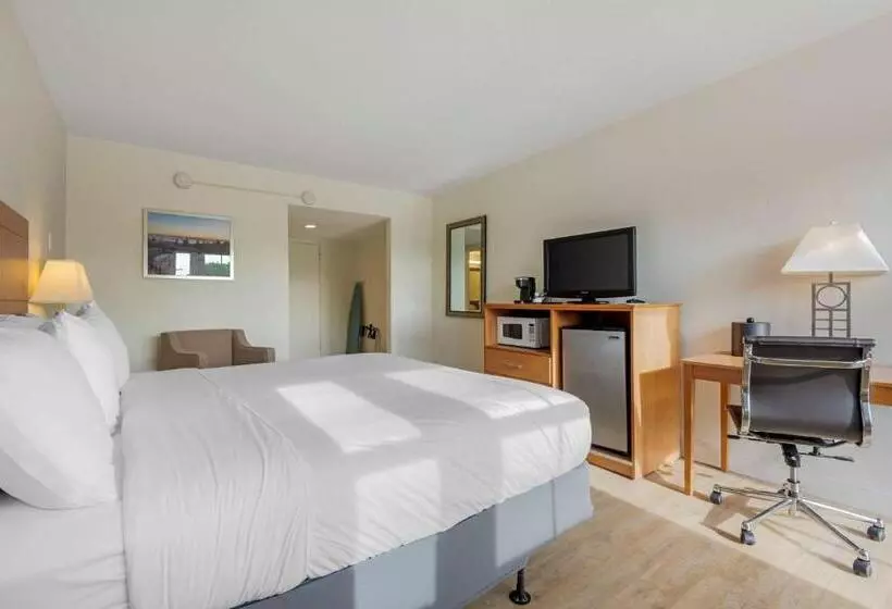اتاق استاندارد با تخت بزرگ برای معلولان, Seasider Motel