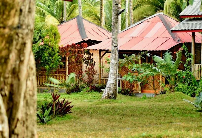 标准间, Krui Surfing