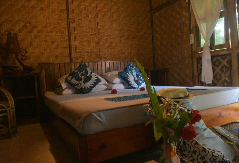 标准间, Krui Surfing